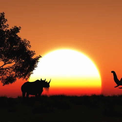 3-Day Unforgettable Safari